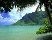 Фотография Gokce Elena