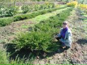 Фотография Голозубовой Татьяны