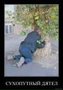 Виталий Пеналюк фотография #40 (источник - https://vk.com/id158873475)