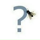 Влад Цімболинець фотография #5 (источник - https://vk.com/id72093328)