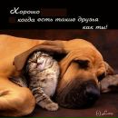 Андрій Ціх фотография #1