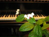 Фотография Исаевой Татьяны