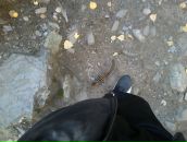 Дмитрий Неруш фотография #23 (источник - https://vk.com/id1175015)