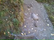 Дмитрий Неруш фотография #24 (источник - https://vk.com/id1175015)