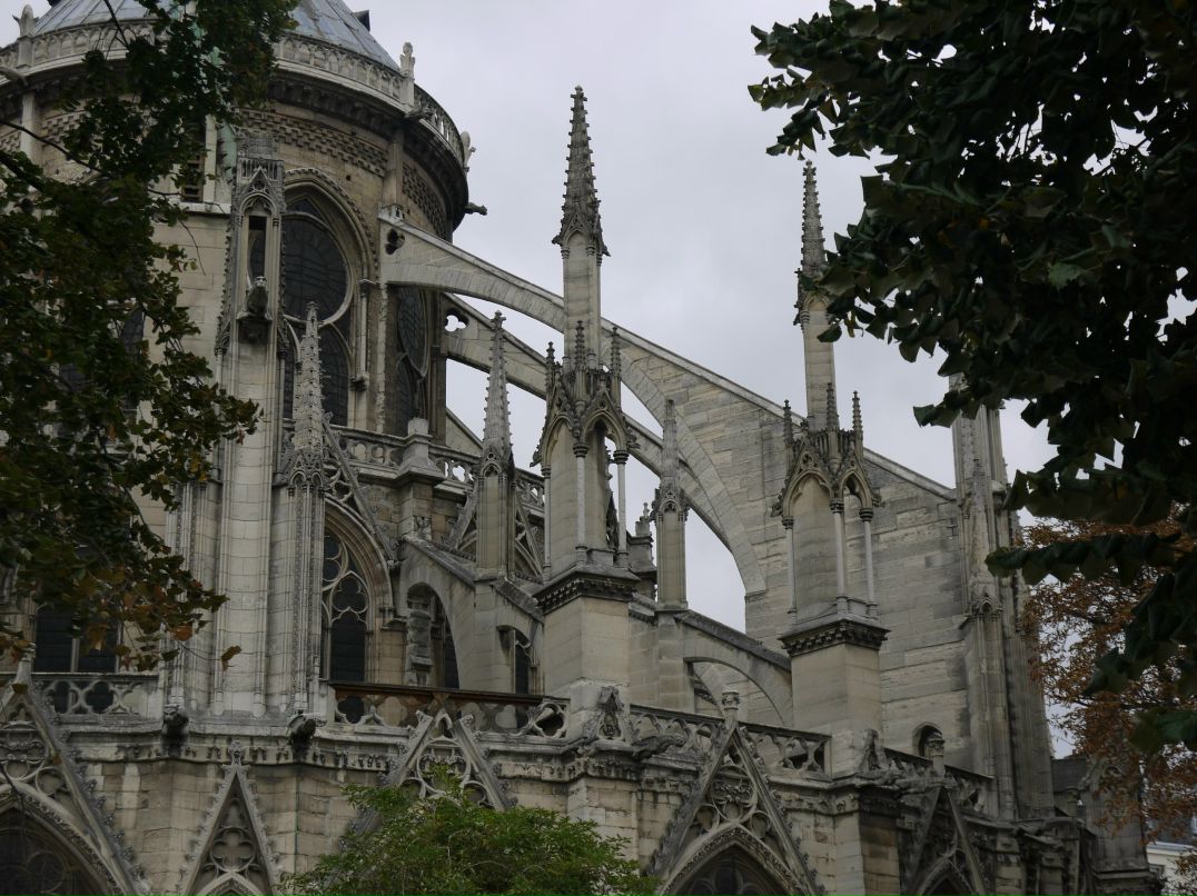 Дмитрий Гармидер фотография #45