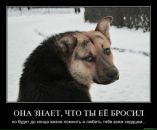 Соломія Царик фотография #35 (источник - https://vk.com/id16160013)