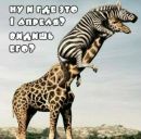 Юра Пасічник фотография #49 (источник - https://vk.com/id148377677)