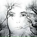 Андрій Абрамчук фотография #26 (источник - https://vk.com/id29152680)