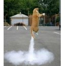 Вова Гій фотография #34 (источник - https://vk.com/id138099726)