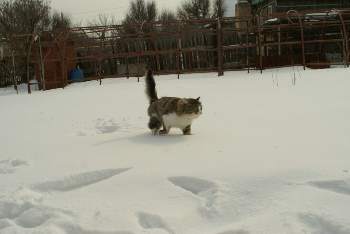 Anton Kasimov фотография #35