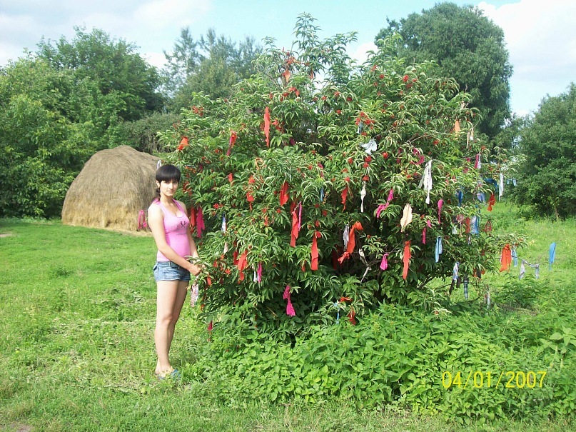 Дмитрий Копнин фотография #15