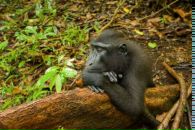 Фотография Шурея Александра