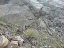 Бонифаций В_отпуске фотография #48 (источник - https://vk.com/id138947747)