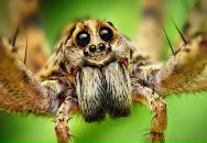 Анастасія Сиглова фотография #26 (источник - https://vk.com/id19905720)