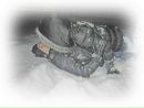 Игорь Шевченко фотография #16 (источник - https://vk.com/id10077787)