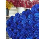 Єва Кір'ян фотография #19 (источник - https://vk.com/id149234216)