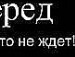 Міша Малько фотография #28 (источник - https://vk.com/id70137137)