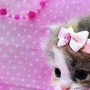 Іванка Зубенко фотография #39 (источник - https://vk.com/id100080283)