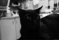 Фотография Горлинской Ксении