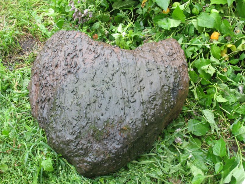 Aaa Sss фото №6