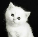 Іннуся Варварич фотография #26 (источник - https://vk.com/id160732866)