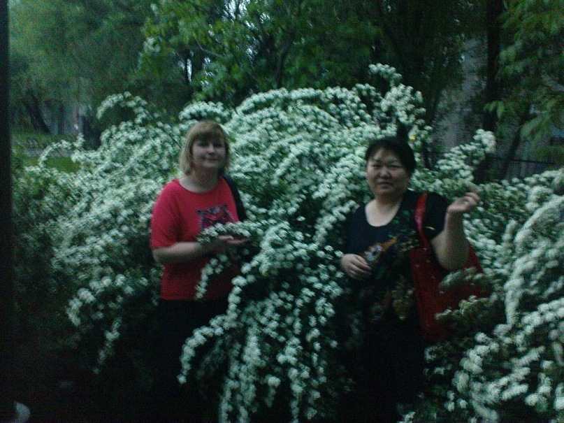 Дмитрий Цай фотография #49