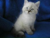 Фотография Троновой Татьяны