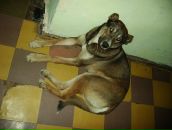 Фотография Константиновой Анны-Улыбаетси-Владимировны