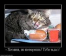Фотография Рязанова Максима