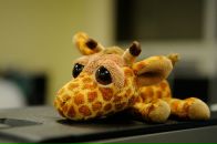 Фотография Екубовой Зульфии