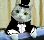 Фотография Ремезова Ильи