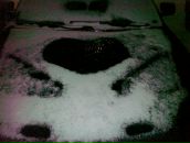 Фотография Антонова Антона