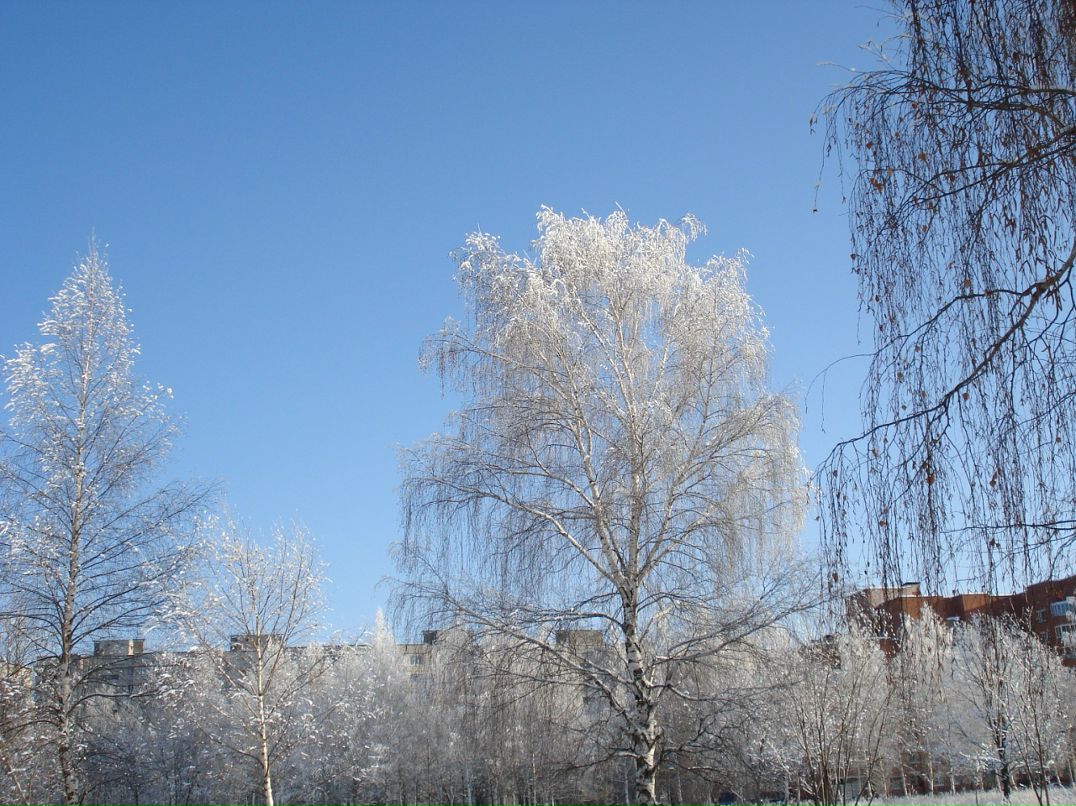 Дмитрий Лаёв фотография #32