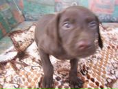 Іван Алмаші фотография #18 (источник - https://vk.com/id89643469)