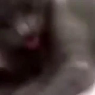 турецкий мужчина рыгает на яйца