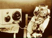 Андрій Баня фотография #15 (источник - https://vk.com/id56112241)