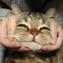 Іра Сідолака фотография #6 (источник - https://vk.com/id58963535)