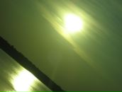 Фотография Лисицы Алексея