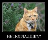 Фотография Мангера Евгения