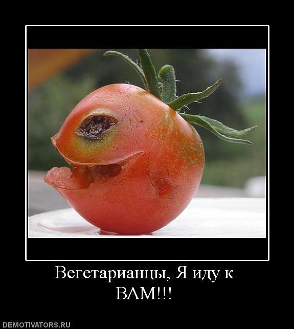 Иван Пташник фотография #14