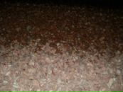 Ваня Двірничук фотография #14 (источник - https://vk.com/id132397599)