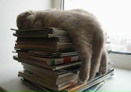 Фотография Шемякиной Ксении