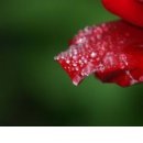 Ірина Заблоцька фотография #50 (источник - https://vk.com/id104380067)