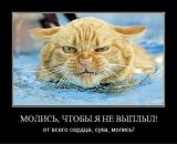 Олександр Сіренко фотография #13 (источник - https://vk.com/id133126015)