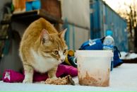 Фотография Новицкой Юли