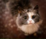 Фотография Егоровны Марии