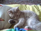 Фотография Сульг Елены