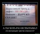 Доза Адреналина=))) фотография #33 (источник - https://vk.com/id79150058)