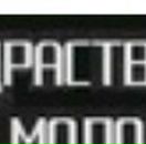 Віталій Костенко фотография #28 (источник - https://vk.com/id135208281)