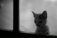 Дарья Моо фотография #32 (источник - https://vk.com/id2348127)